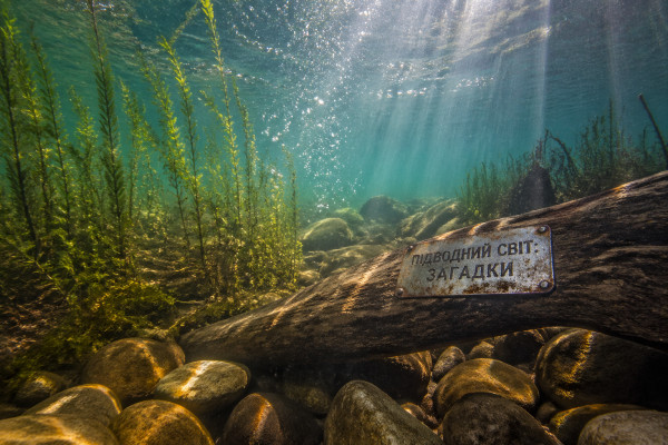 Підводний світ українських водойм: загадки та відкриття - 1
