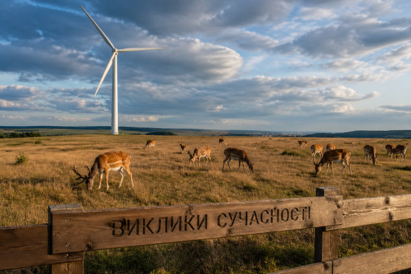 Влияние человека на природу: вызовы современности - 1