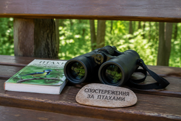 Спостереження за птахами: як почати? - 1